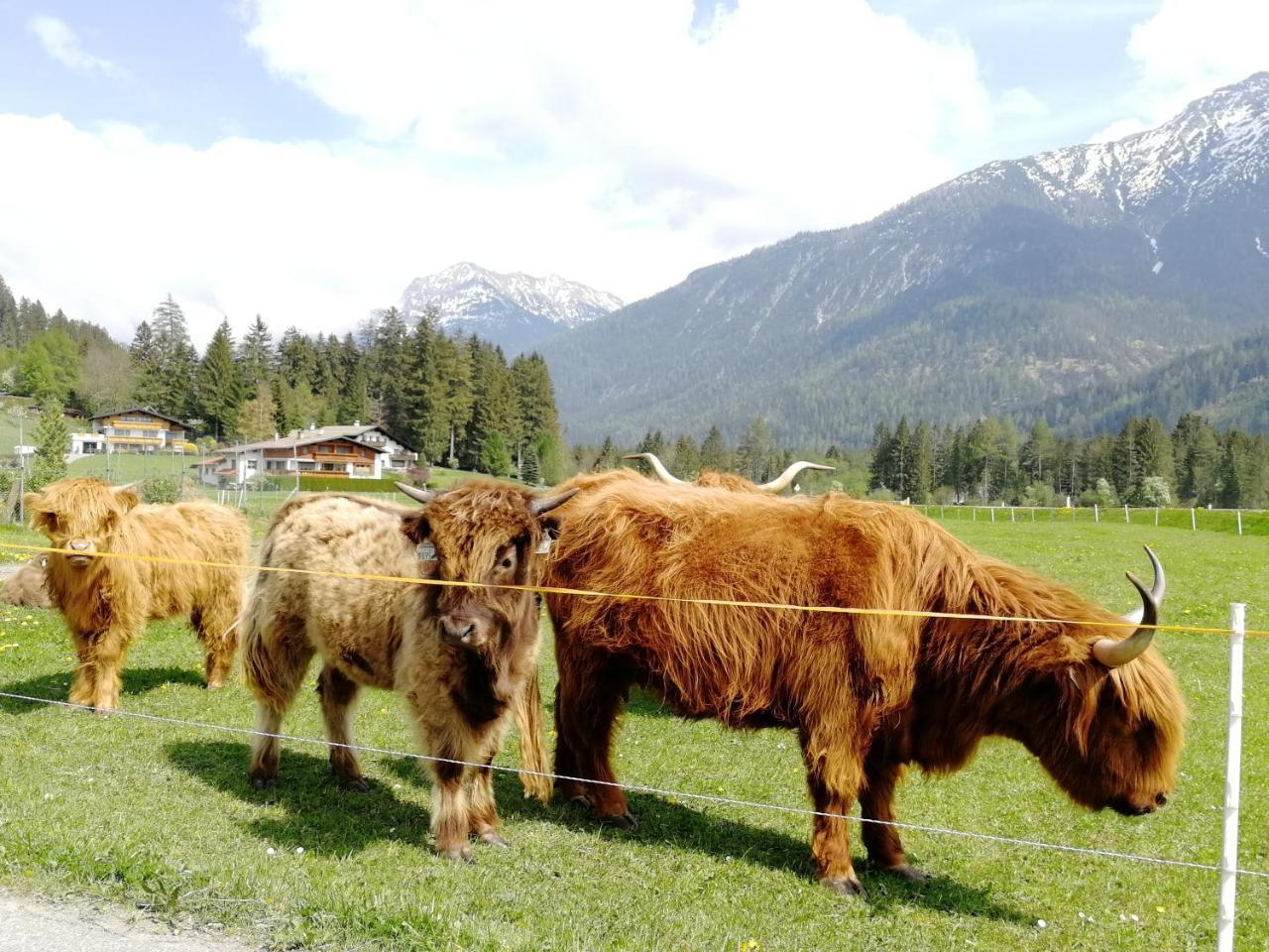 Camping Lechtal Vorderhornbach Exterior foto